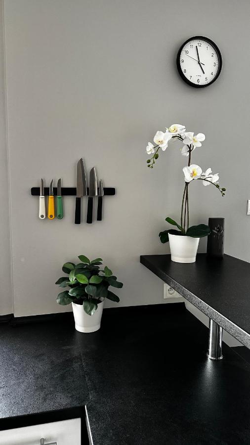 Apartment Festiwalowy *